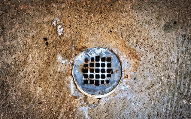 https://blockeddrainscarine.com.au/uploads/2025/07/blocked-shower-drains-20432.jpg