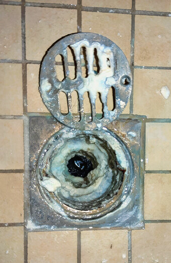 https://blockeddrainscarine.com.au/uploads/2025/07/blocked-shower-drains-86331.jpg