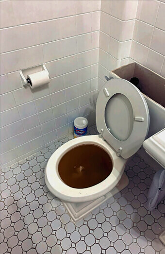 https://blockeddrainscarine.com.au/uploads/2025/07/blocked-toilet-99184.jpg